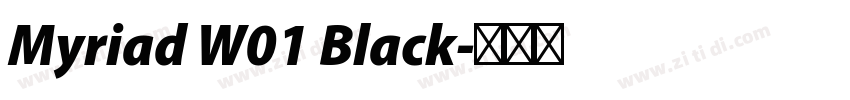 Myriad W01 Black字体转换